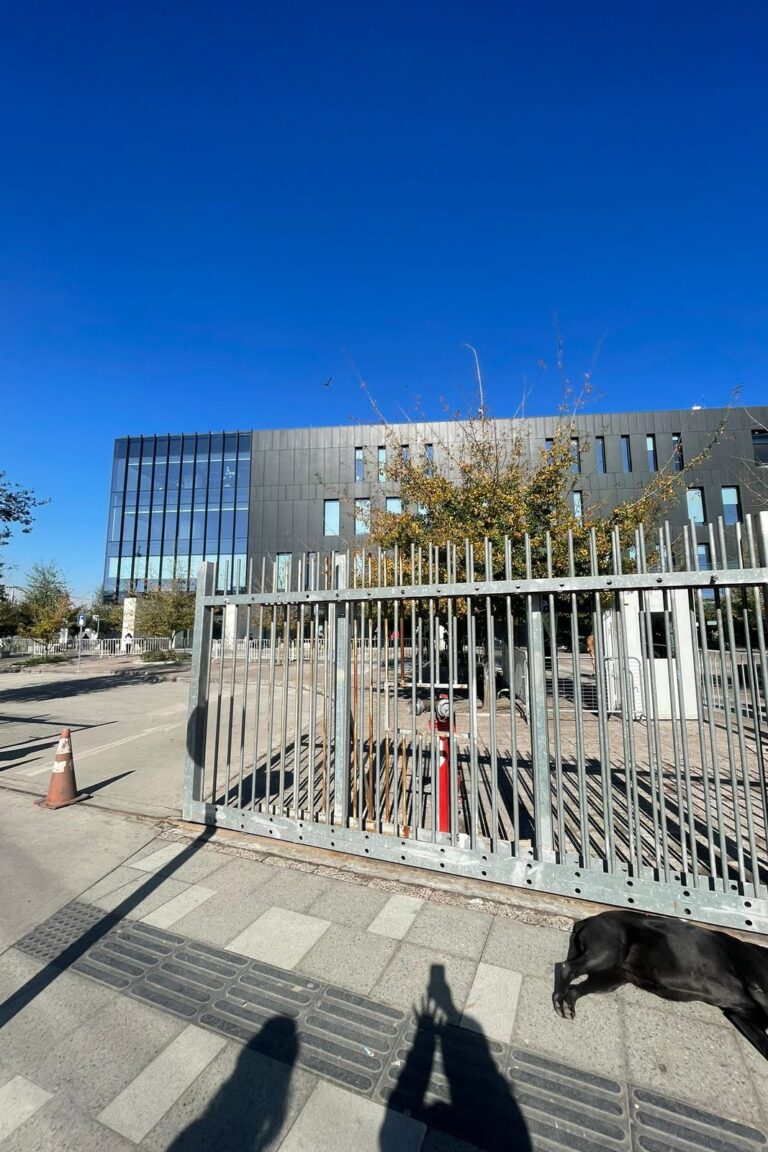 WhatsApp Image 2025-09-26 at 00.49.50